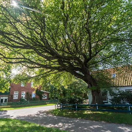 Appartementhaus Westerloog 15 Apartmán Spiekeroog