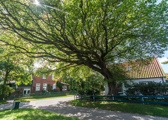 Appartementhaus Westerloog 15 Lejlighed Spiekeroog